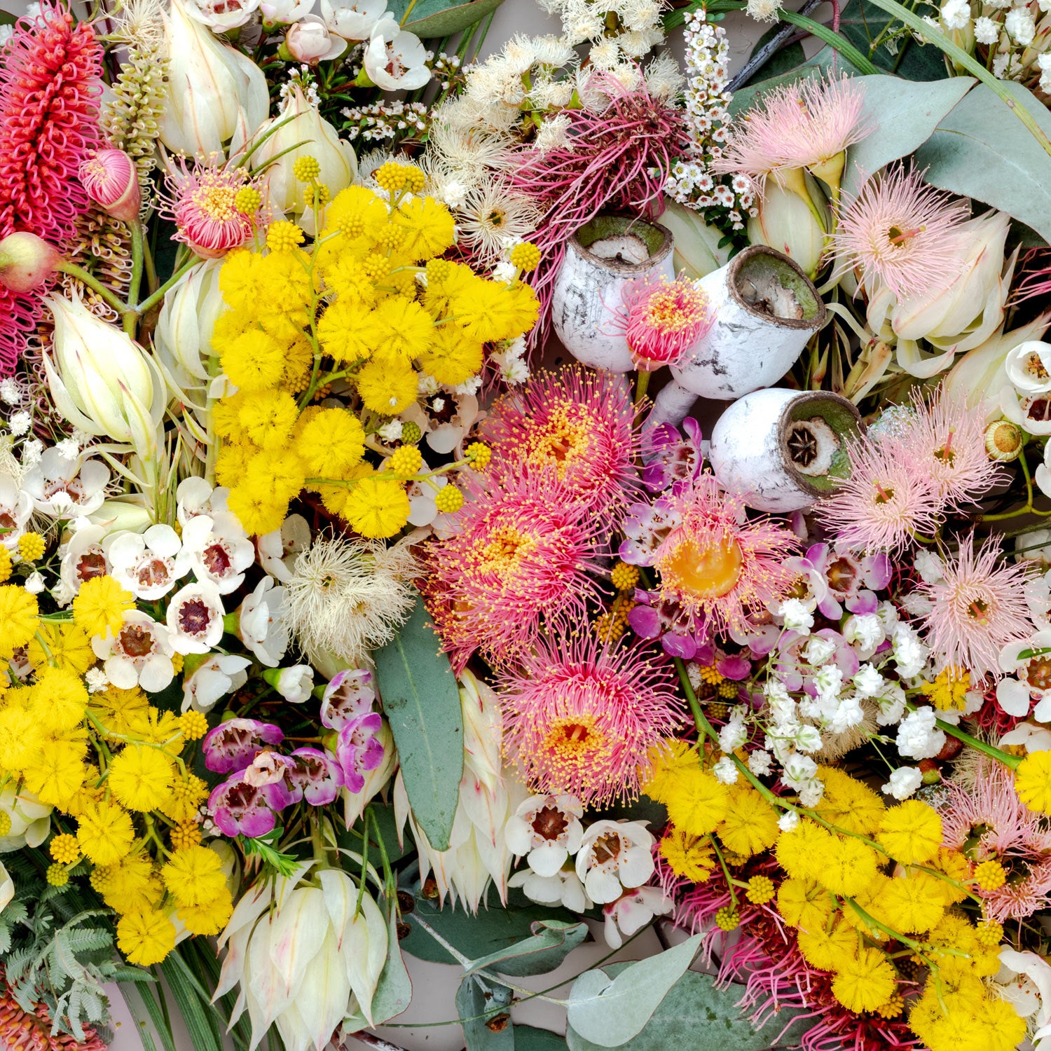 Native Mix Pano #8 of 25 | No Frame