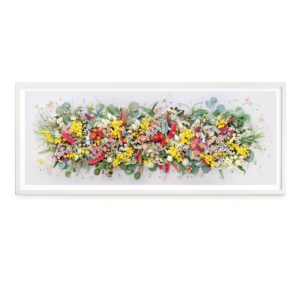 Native Mix Pano - Eclectic Botanica