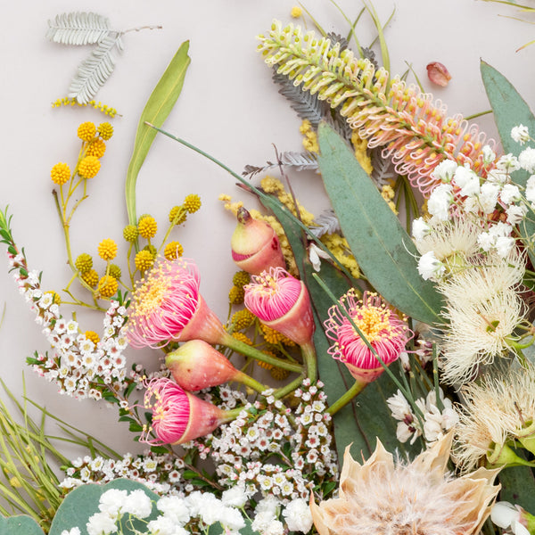 Native Mix - Square - Eclectic Botanica