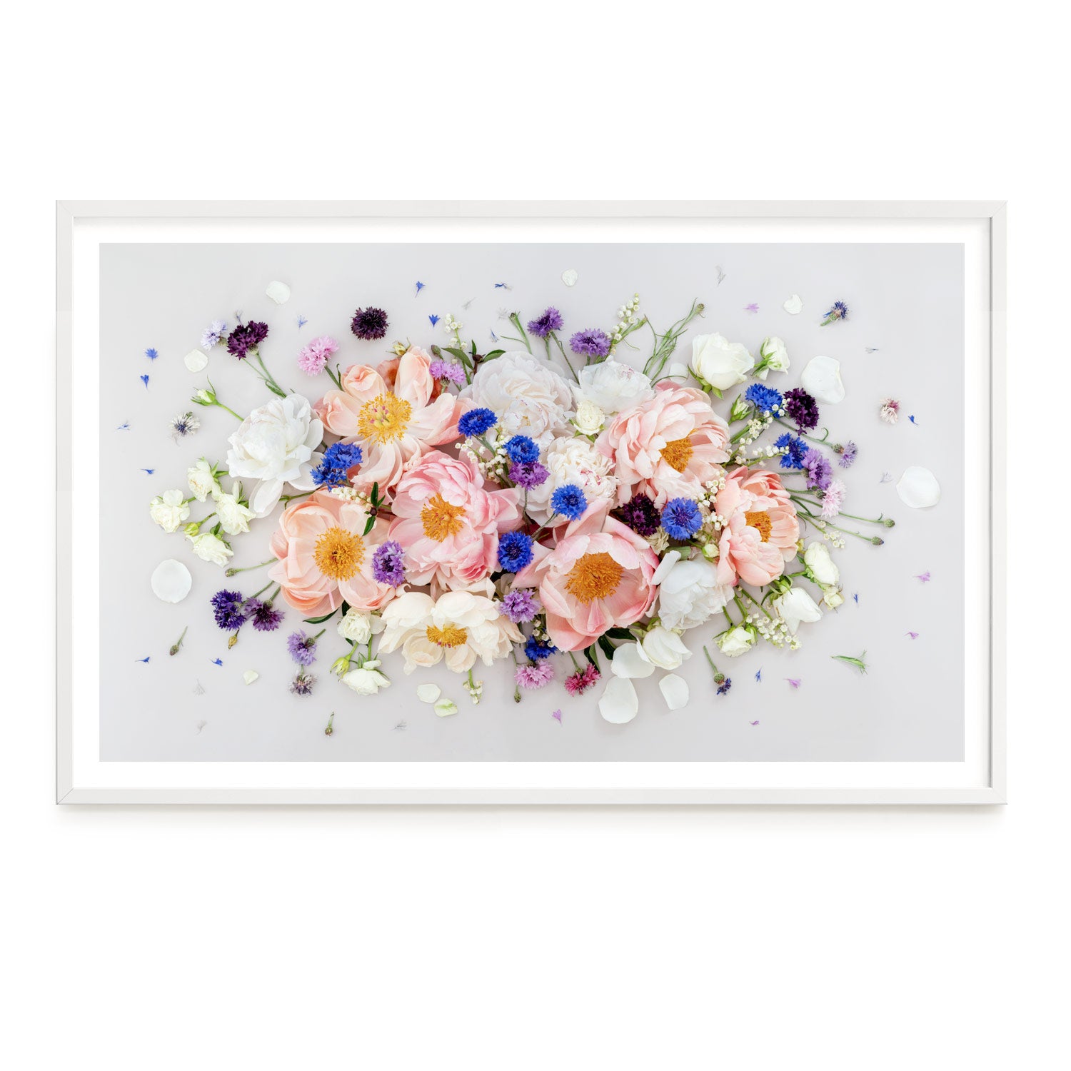 Peonies - Spring Mix