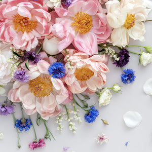 Peonies On White - Square