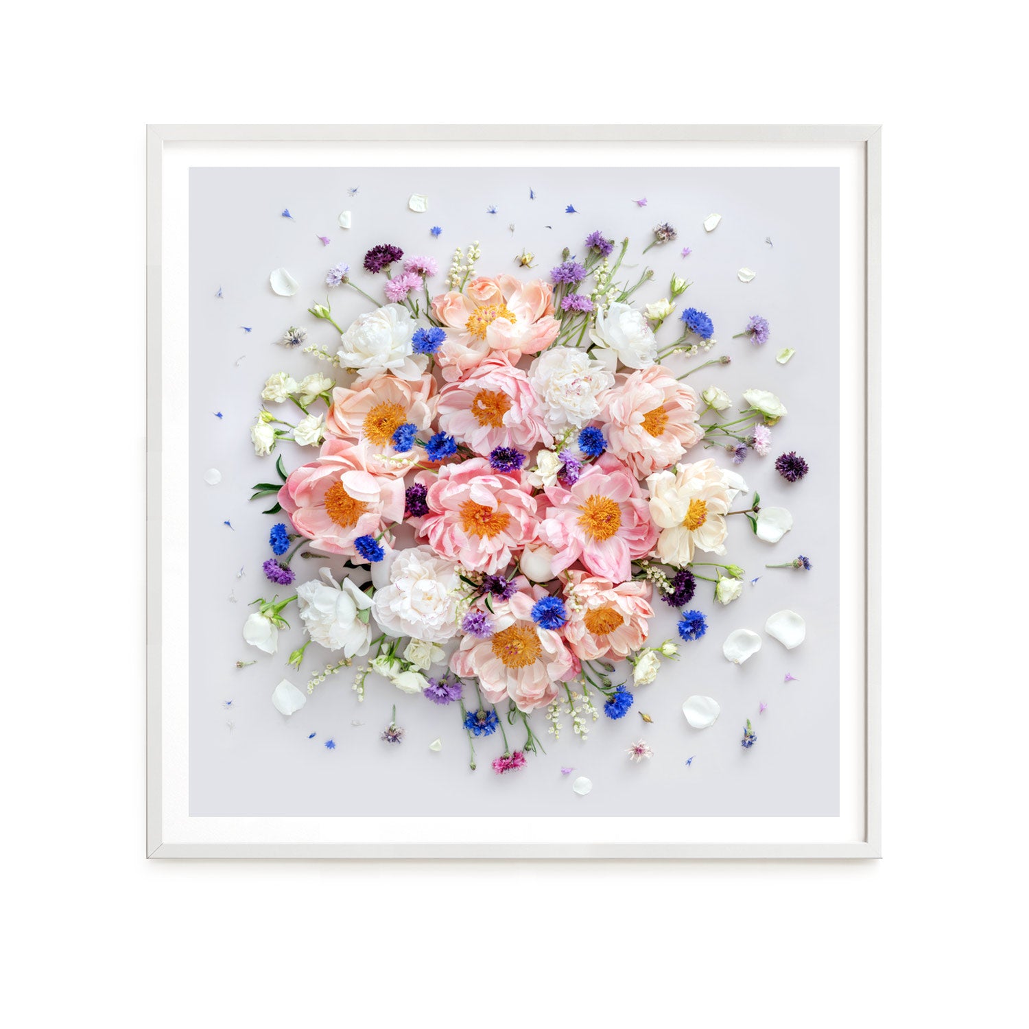 Peonies On White - Square