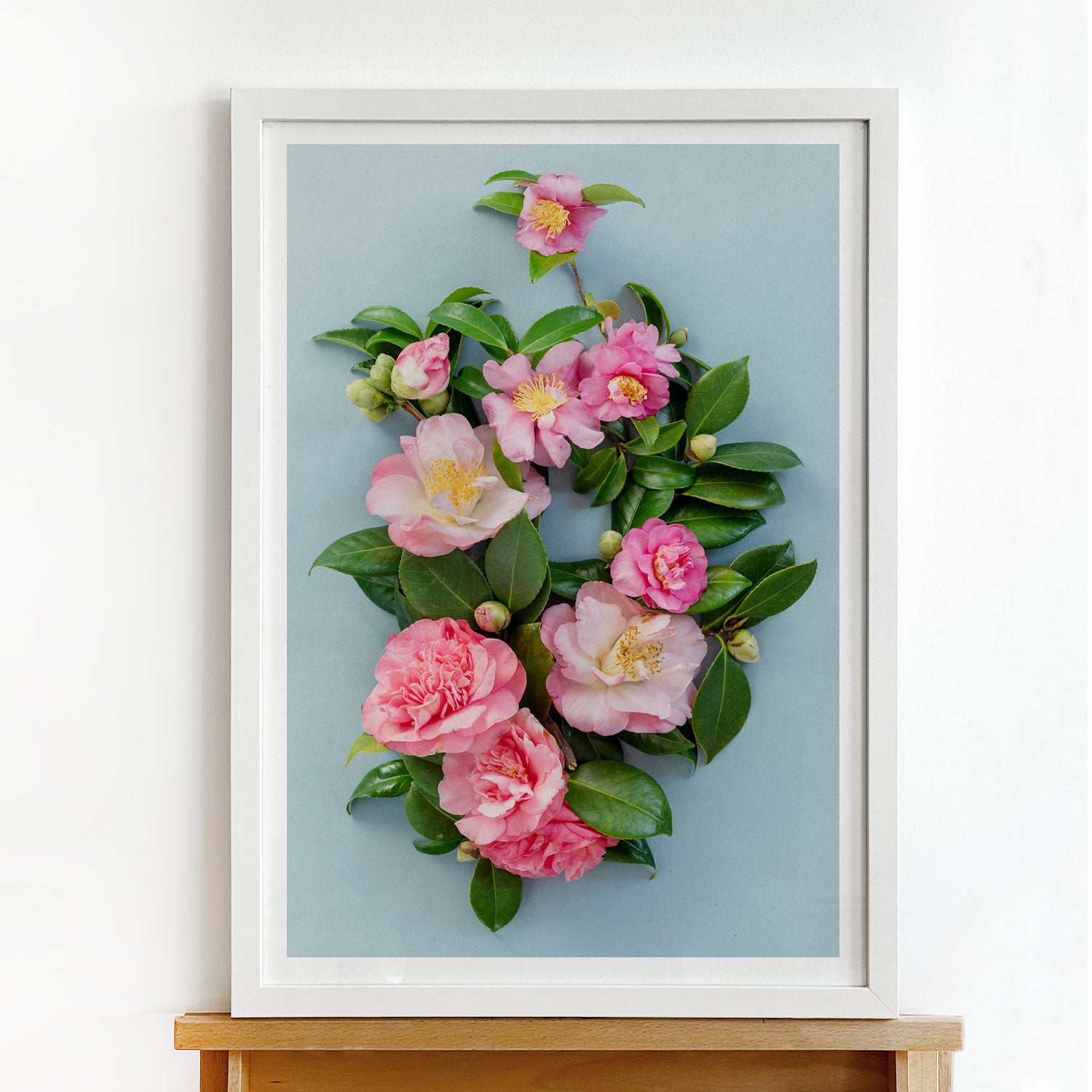 Pink Camelias #2 of 25 | A2 in White