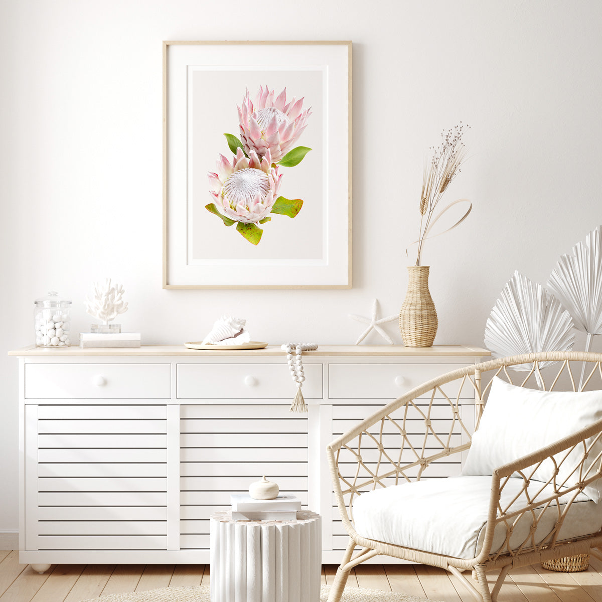 Protea 'Pink King' #24 of 25