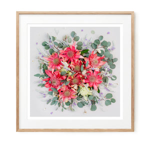 Pink Waratahs Mix - Square