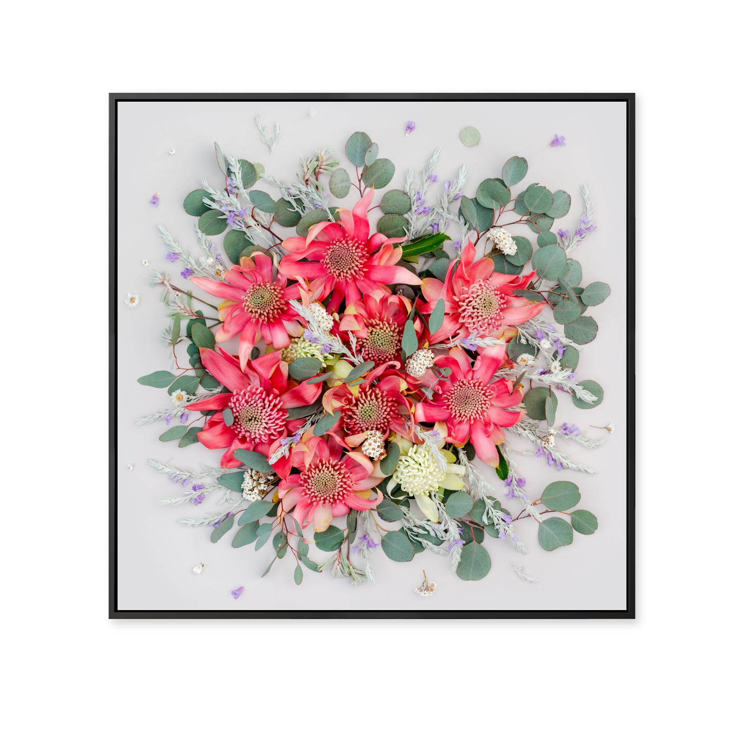 Pink Waratahs Mix - Square