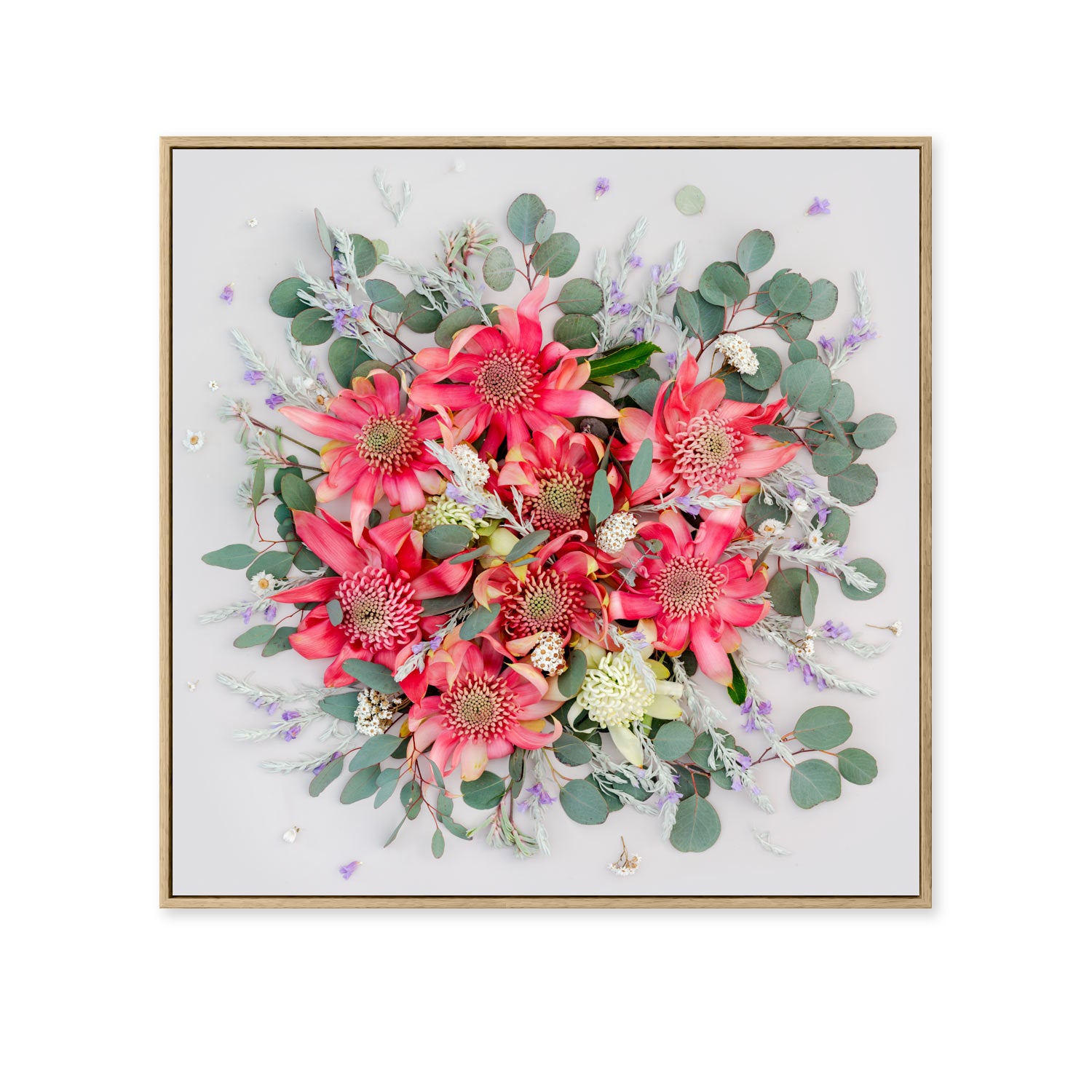 Pink Waratahs Mix - Square