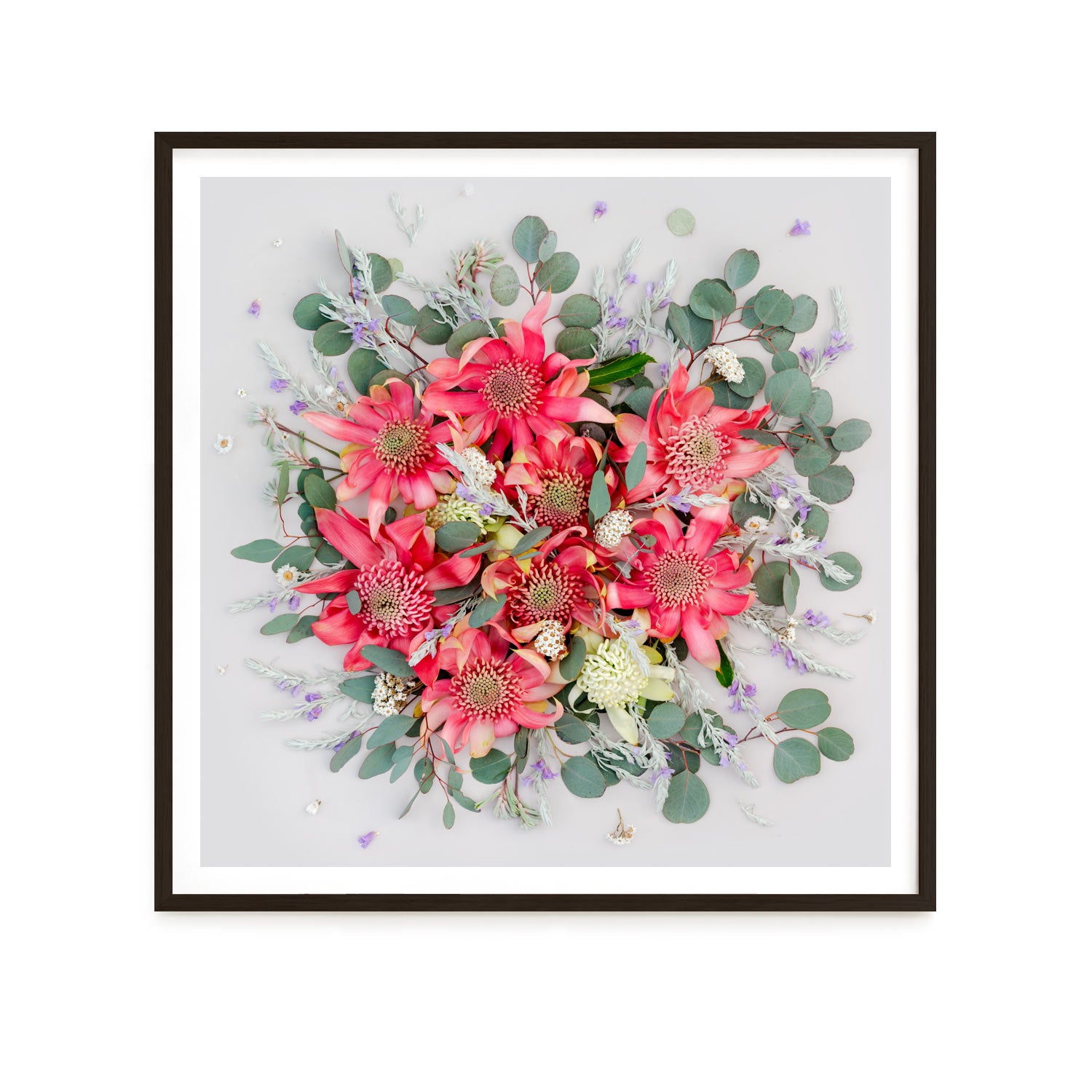 Pink Waratahs Mix - Square