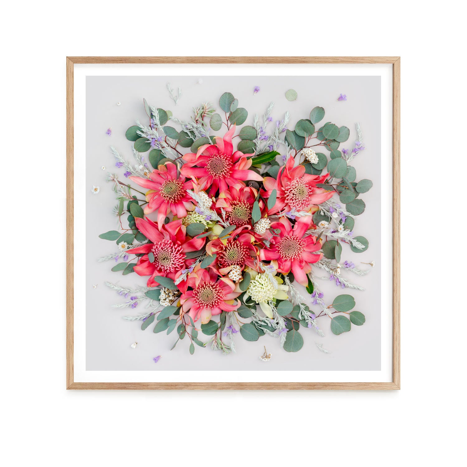 Pink Waratahs Mix - Square