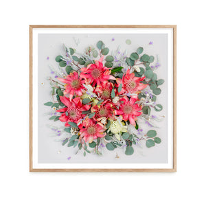 Pink Waratahs Mix - Square