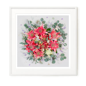 Pink Waratahs Mix - Square