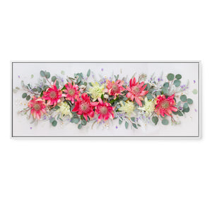 Pink Waratahs on Light | Panorama