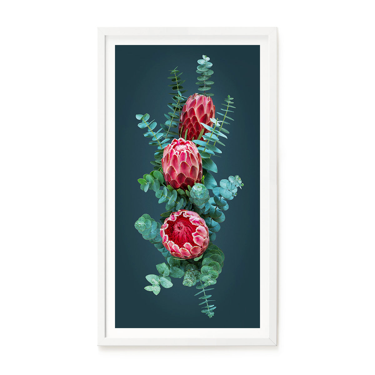 Proteas in Silver Blue #5 of 25