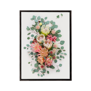 Proteas and Hakeas on Light