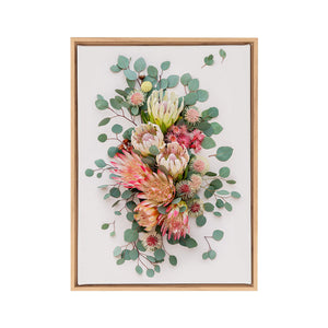 Proteas and Hakeas on Light