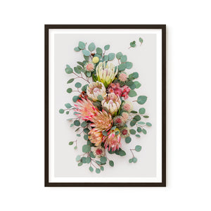 Proteas and Hakeas on Light