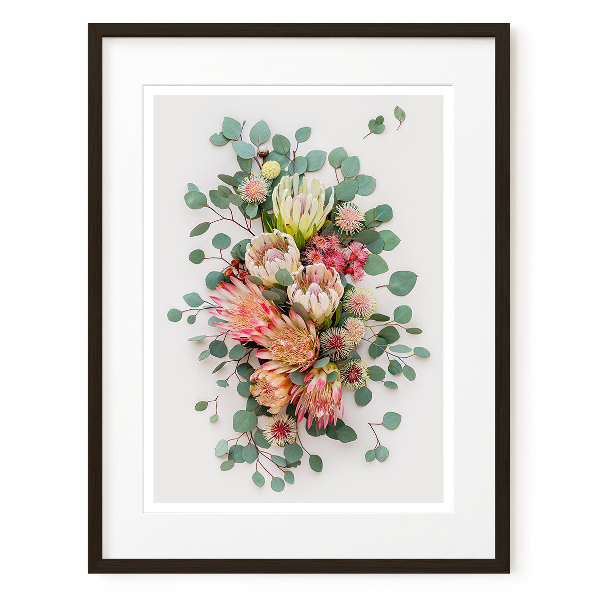 Proteas and Hakeas on Light