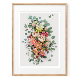 Proteas and Hakeas on Light