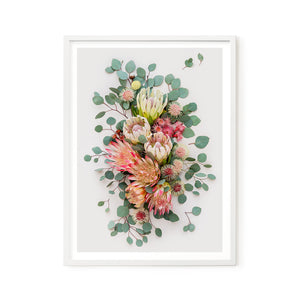 Proteas and Hakeas on Light