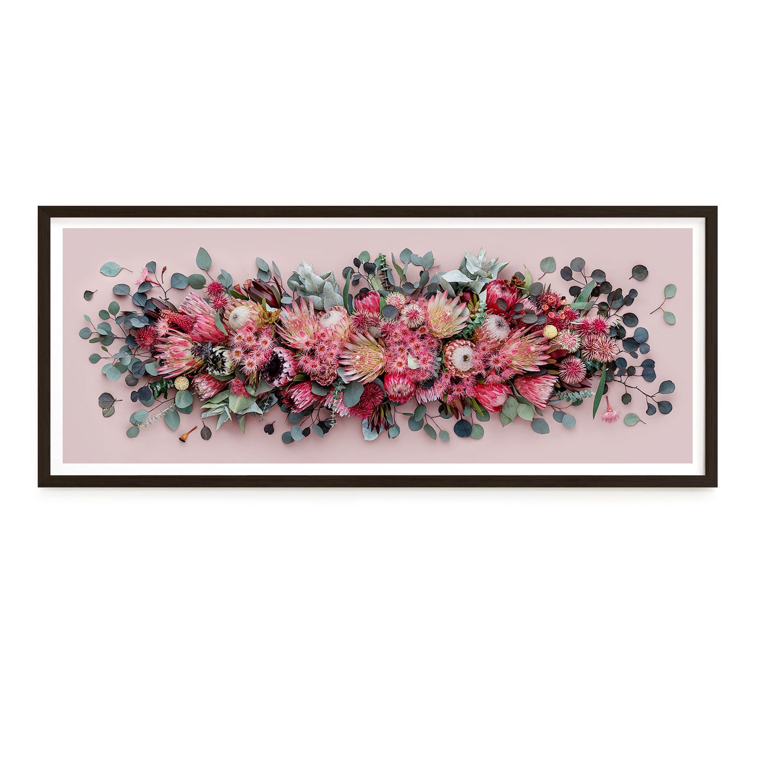 Proteas Mix Pano #5 of 25 | 83 x 33 cm in Black