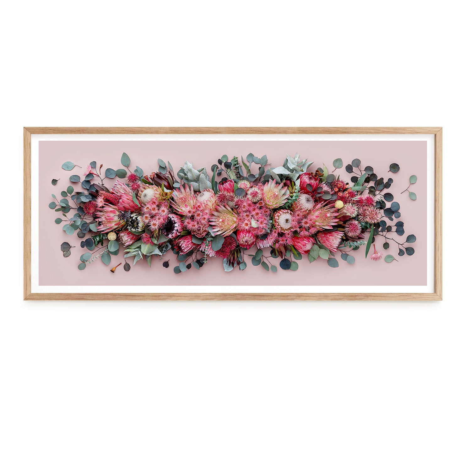 Proteas Mix Pano #18 of 25 | 113 x 42cm unframed