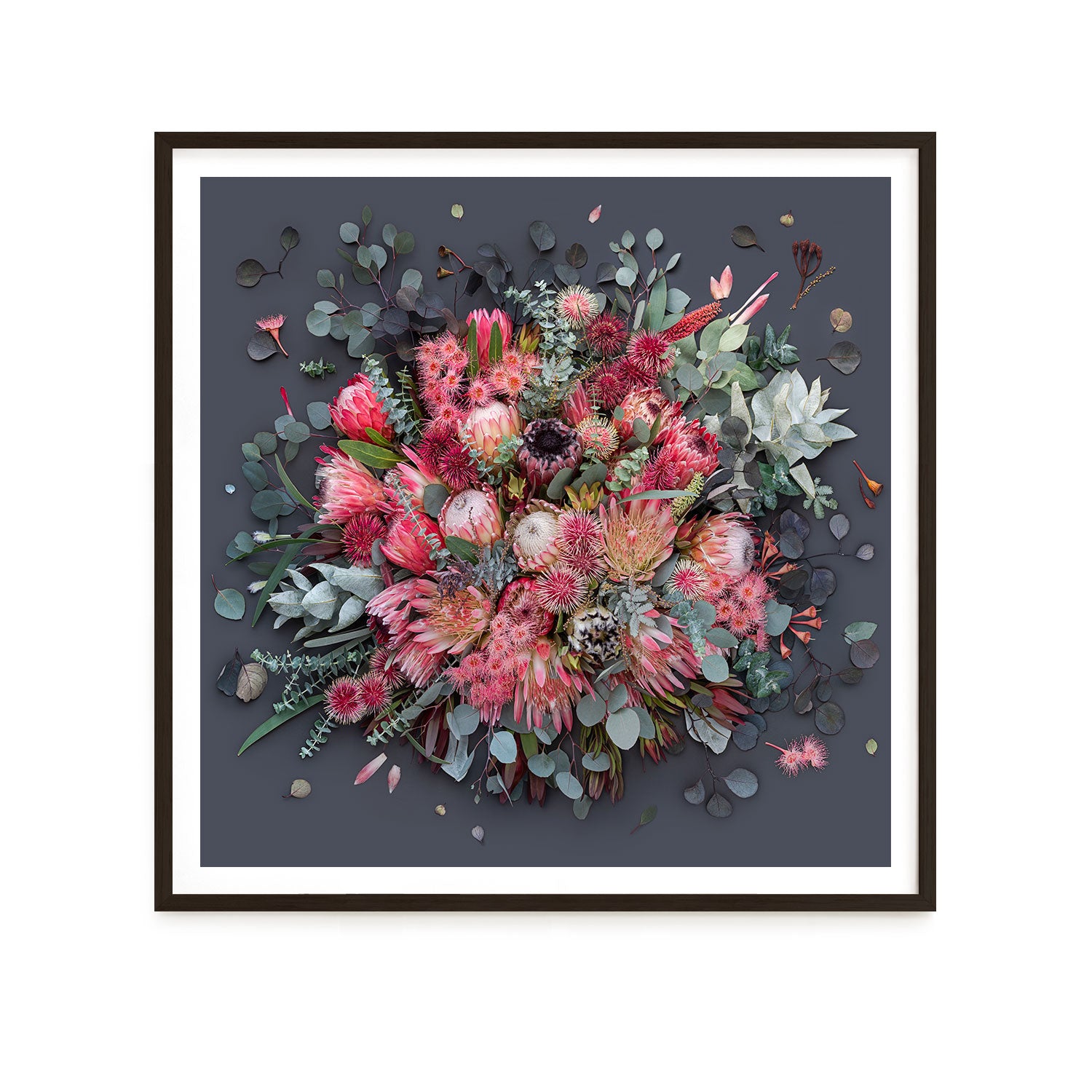 Proteas On Dark Grey - Square