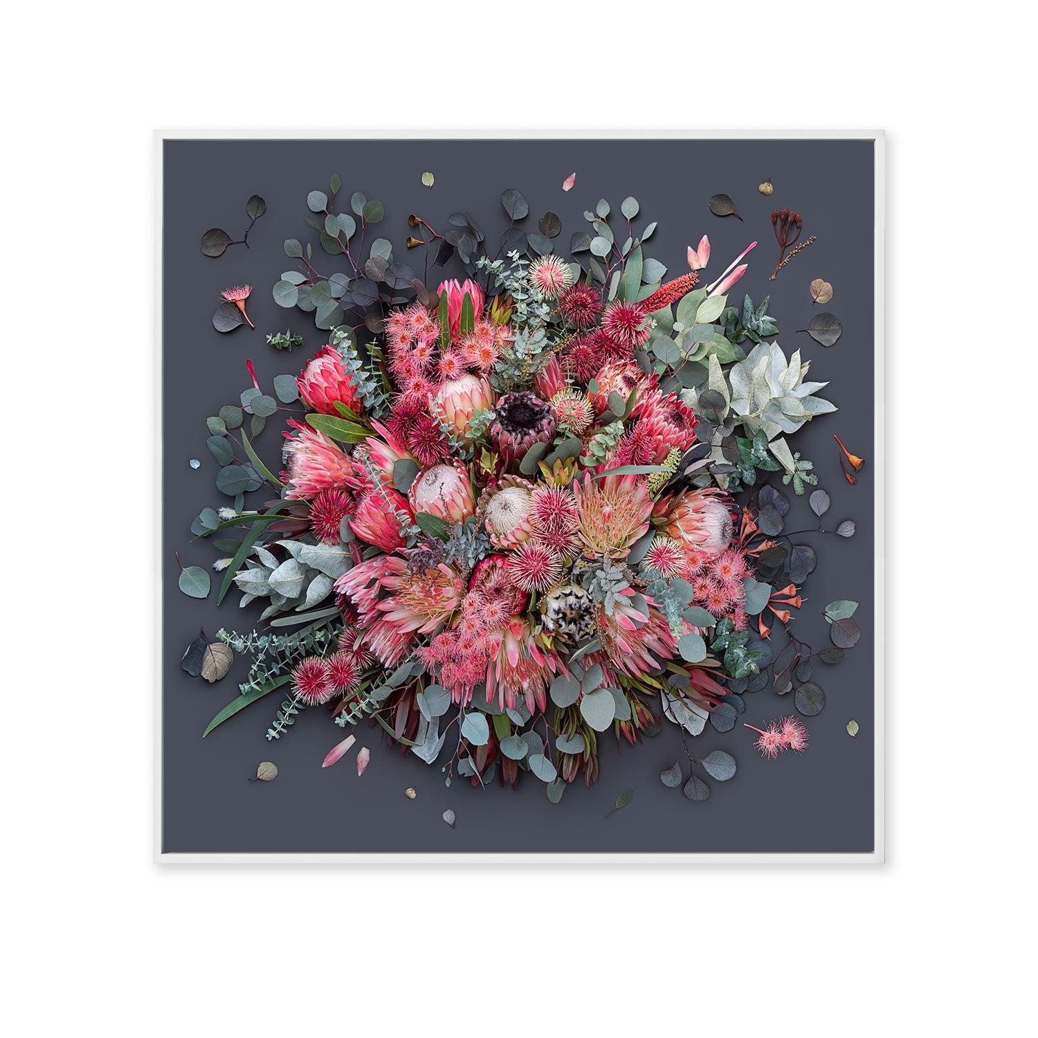 Proteas On Dark Grey - Square