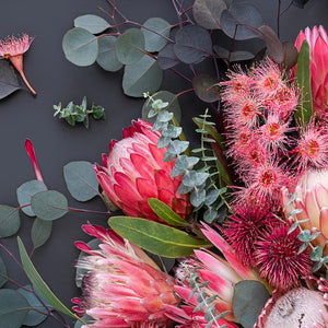 Proteas On Dark Grey - Square