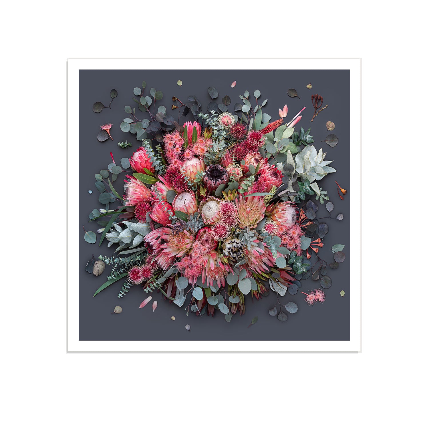 Proteas On Dark Grey - Square