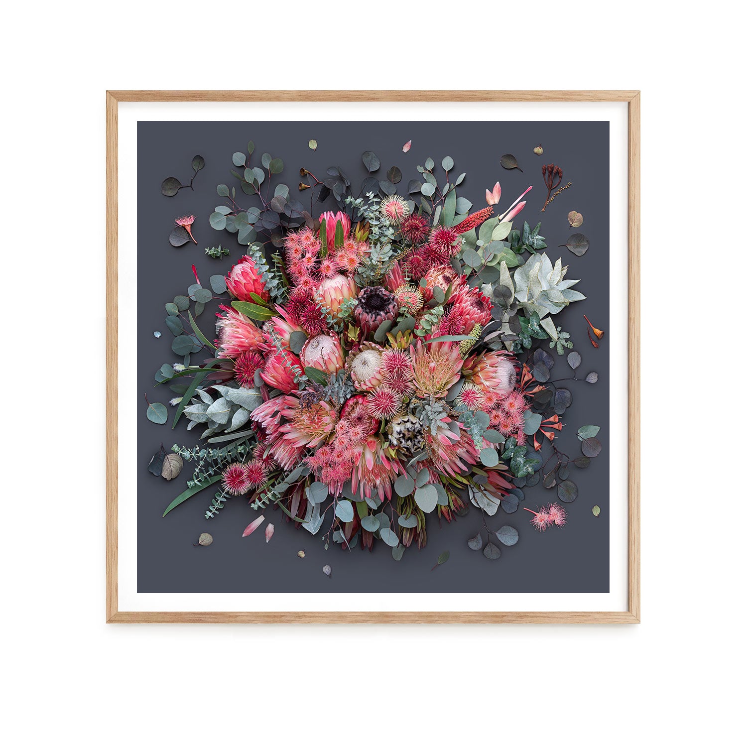 Proteas On Dark Grey - Square