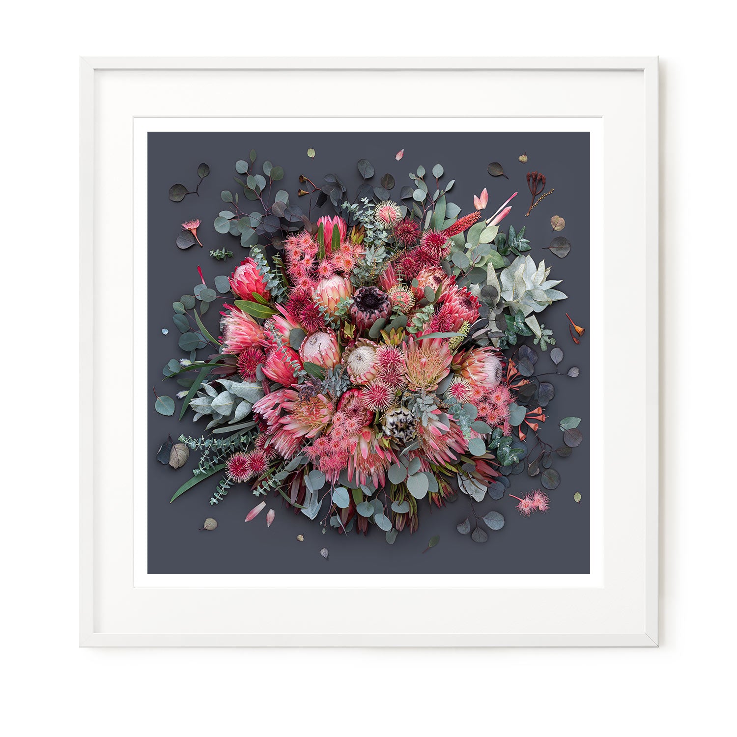 Proteas On Dark Grey - Square