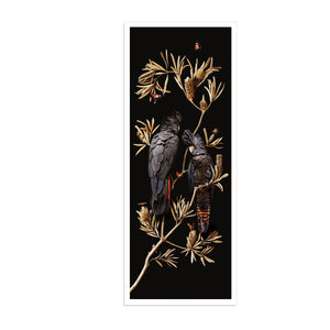 Red-tailed Cockatoos on Banksia