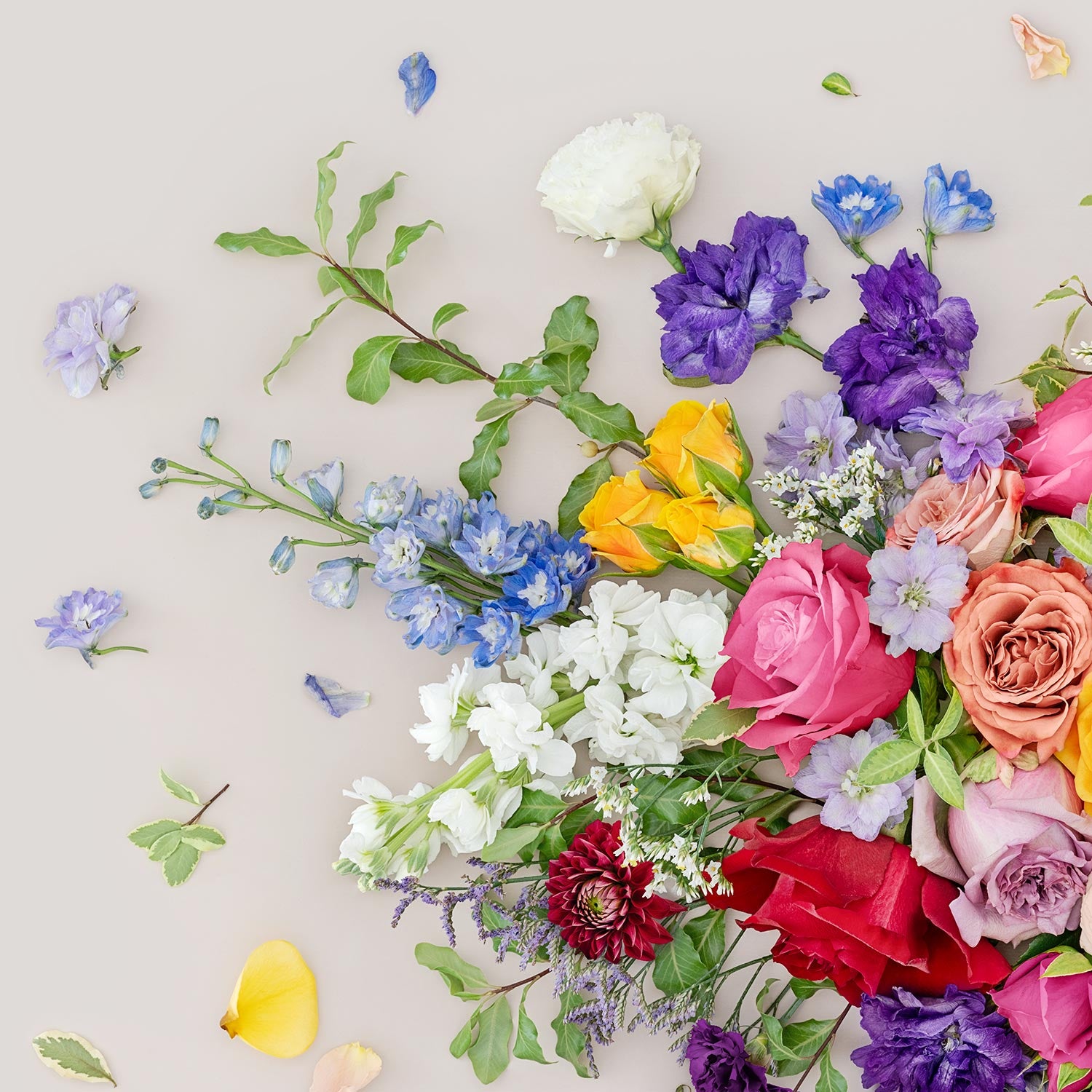 Roses Mix | 105 x 45 cm White frame