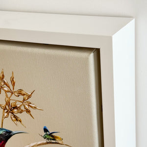 Sunbirds On Gold  | Canvas 34 x 34 cm