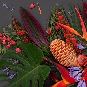 Tropical Mix Dark | Panorama