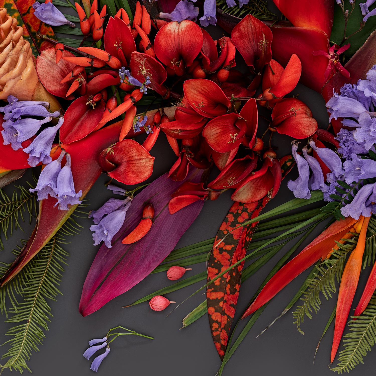 Tropical Mix Dark | Panorama