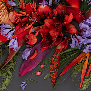 Tropical Mix Dark | Panorama