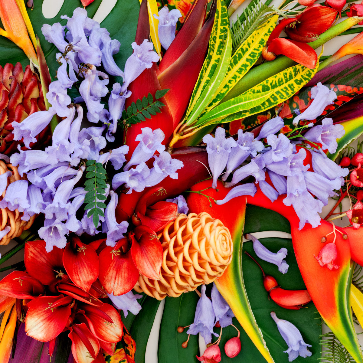 Tropical Mix