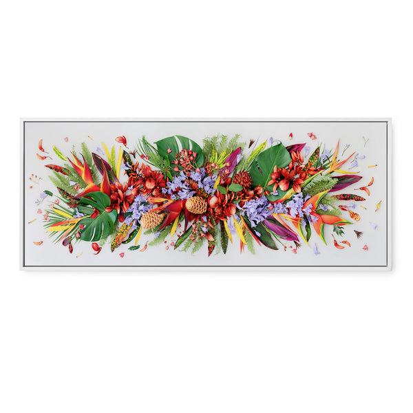 Tropical Mix | Pano - Eclectic Botanica