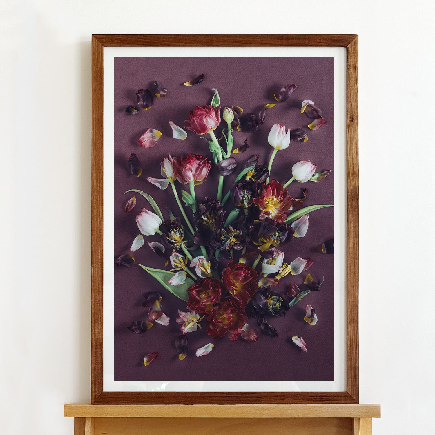 Tulips On Purple | A2 in Blackwood or White