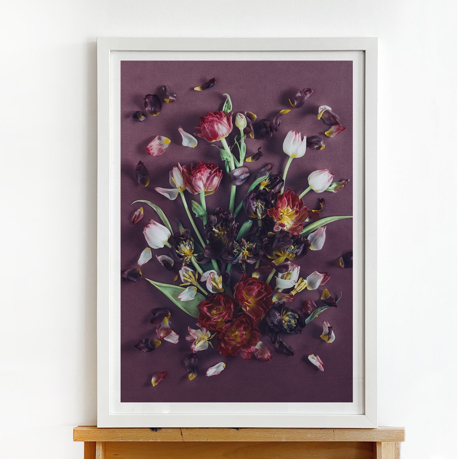 Tulips On Purple | A2 in Blackwood or White