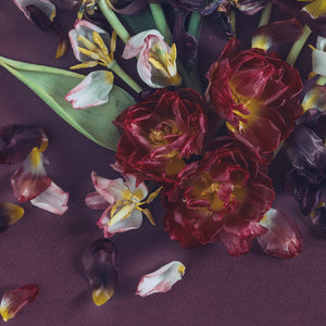 Tulips On Purple | A2 in Blackwood or White