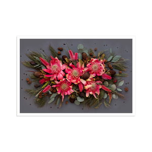 Waratahs & She-oak Mix