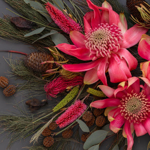 Waratahs & She-oak Mix