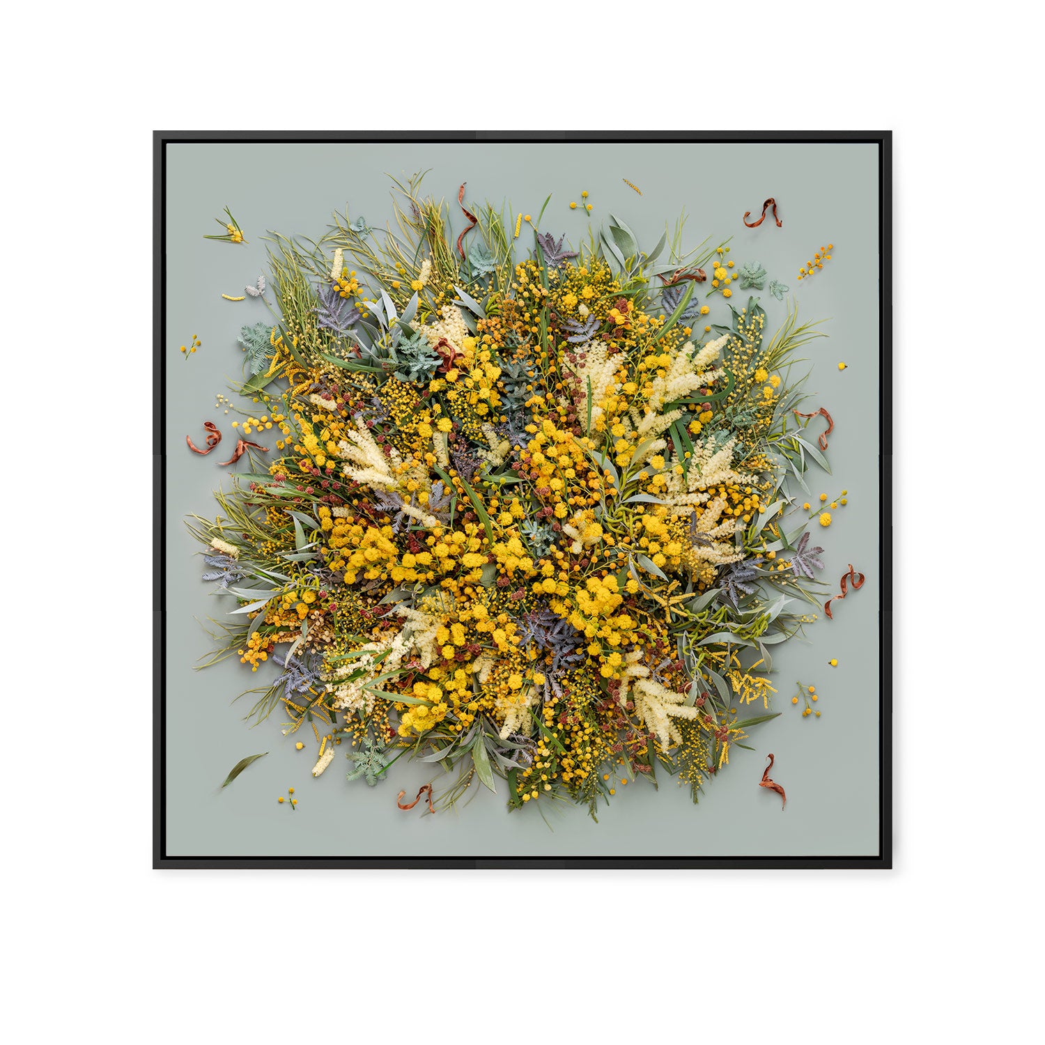 Wattle On Sage - Square