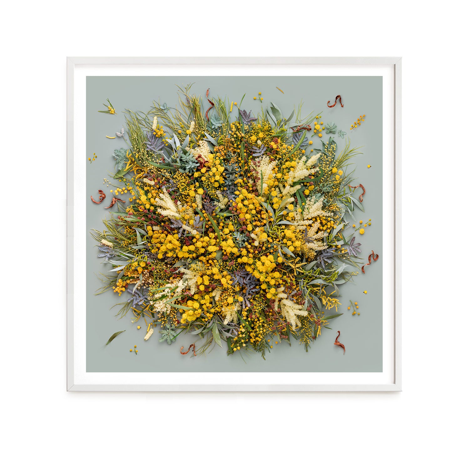 Wattle On Sage - Square