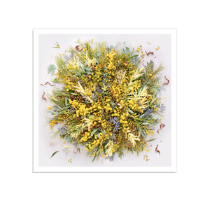 Wattle On Light - Square