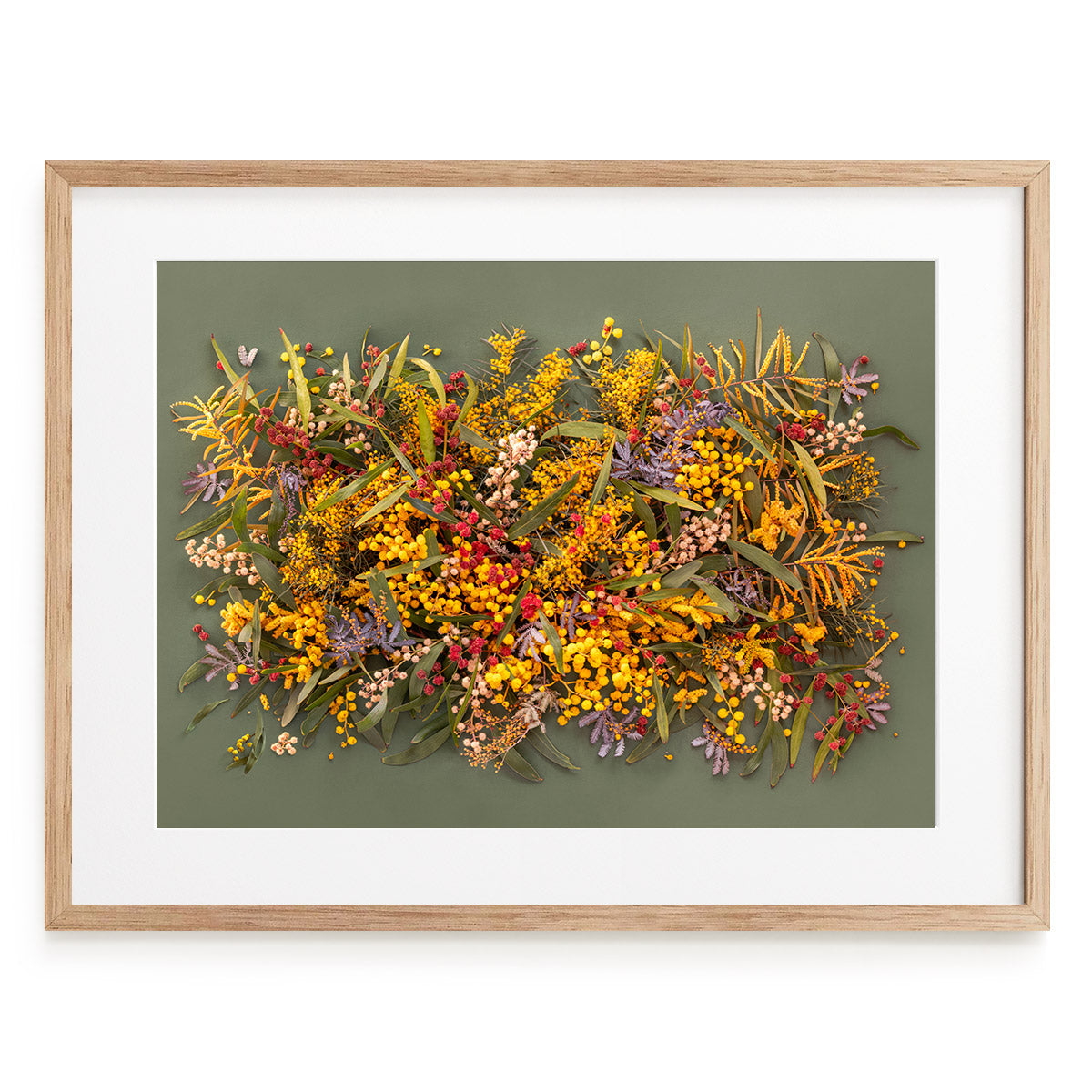 Wattle Tree On Green #2 of 25