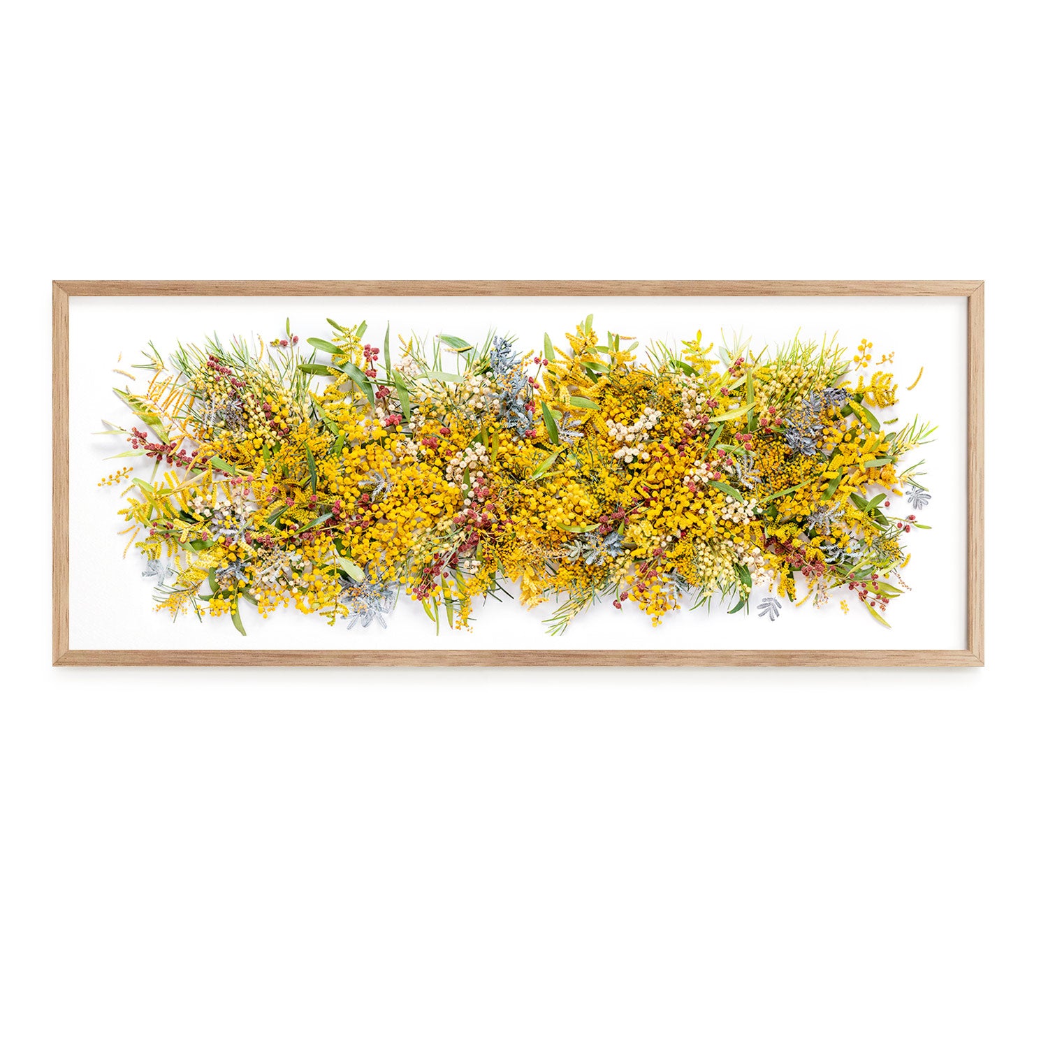 Wattle Tree Splash #5 of 25 | 113 x 45 cm Tassie Oak frame