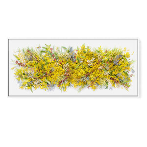 Wattle Tree Splash - Pano